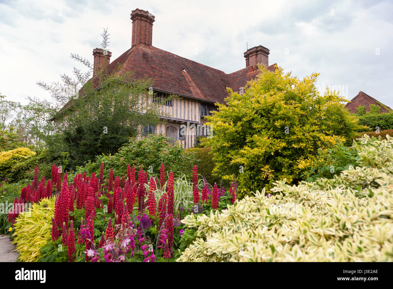 Christopher Lloyd's Great Dixter Manor Haus und Garten, Nothiam, East Sussex, England, UK: die lange Grenze entnommen Stockfoto