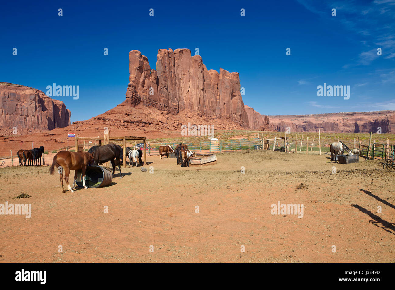 Pferde Reiten in Monument Valley, Arizona, Vereinigte Staaten Stockfoto