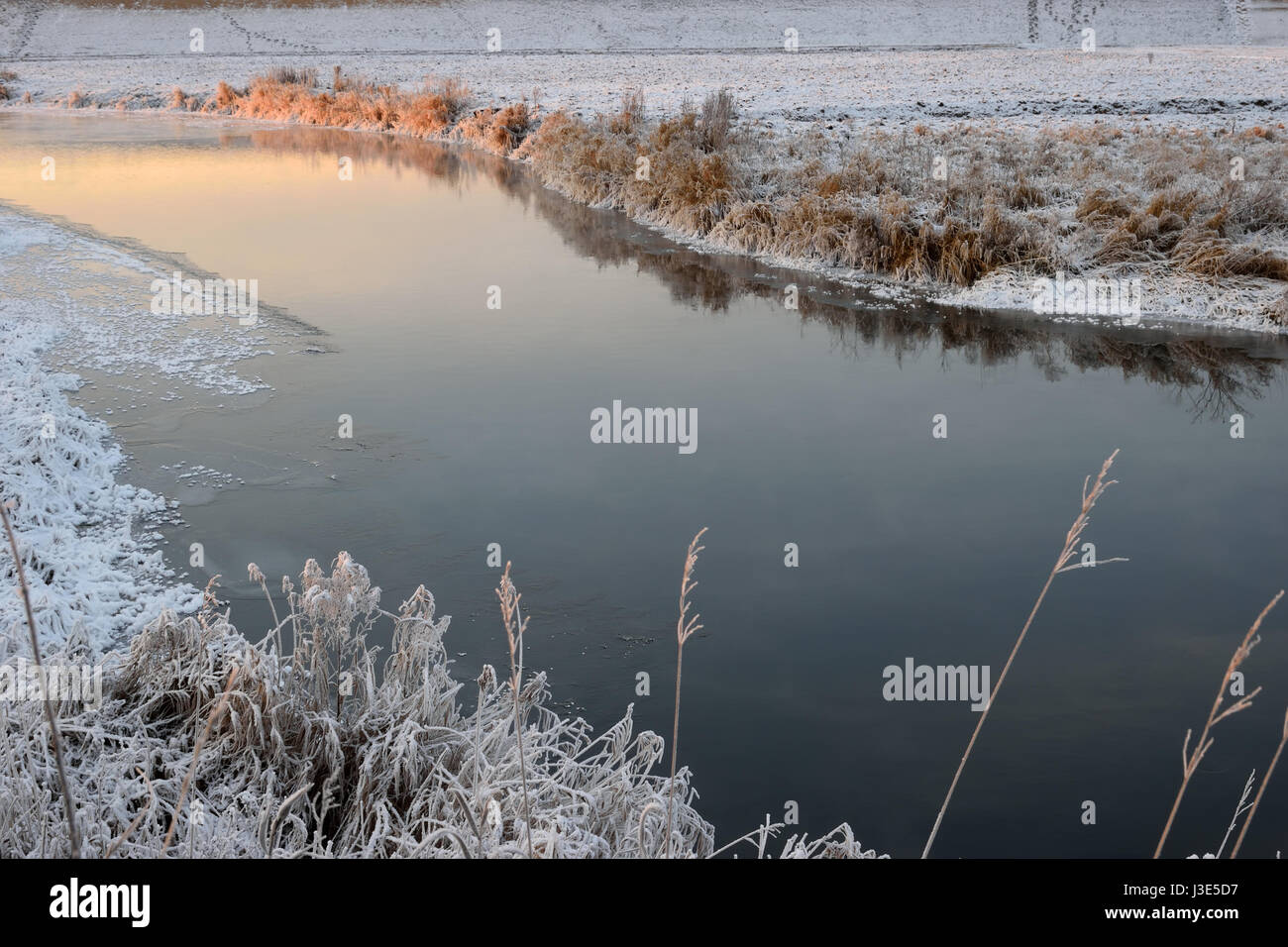 Fluss Trockenrasen in den Kristallen von Schnee am Ufer an einem Winterabend auf zacateros Stockfoto