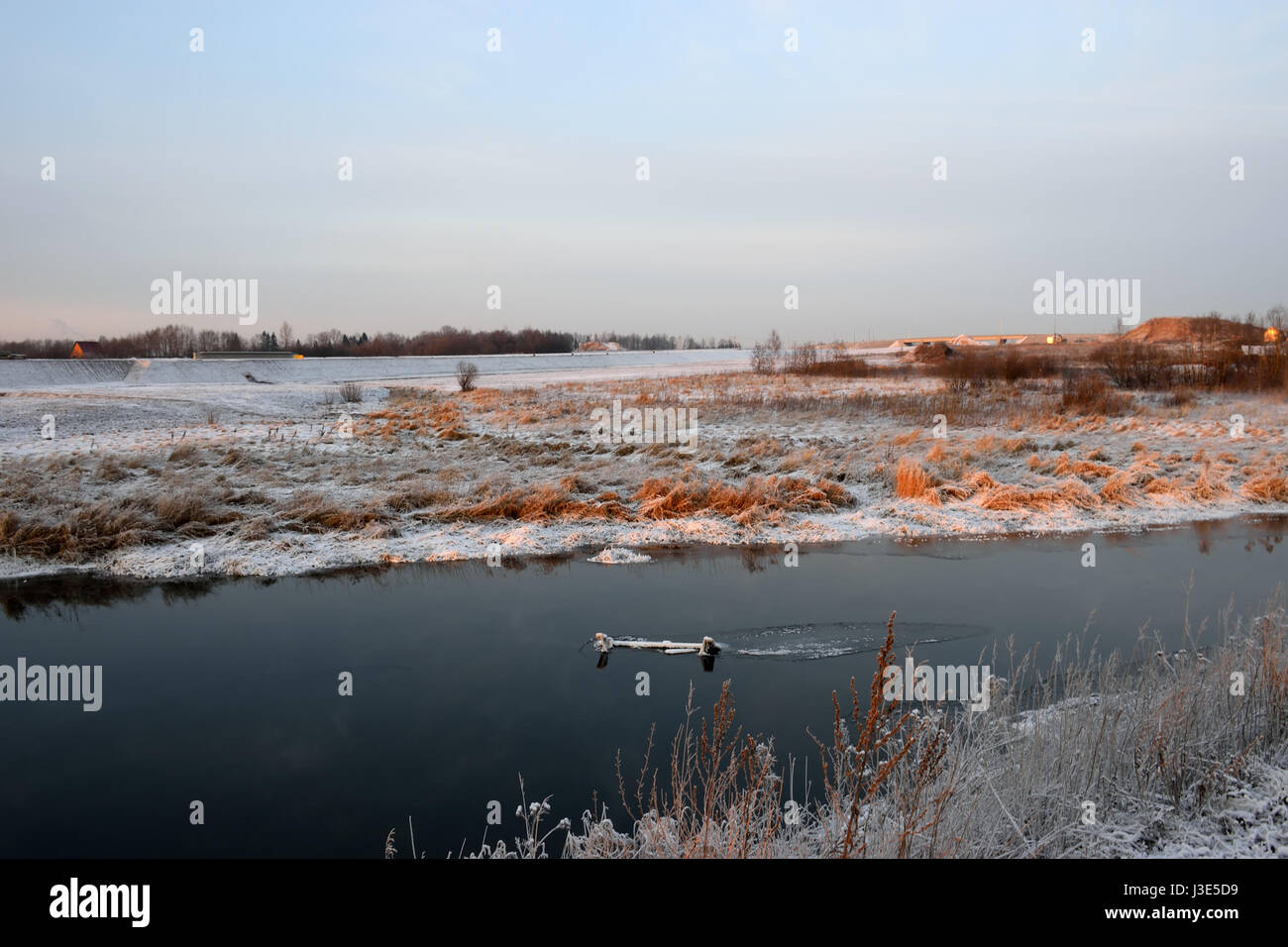 Fluss Trockenrasen in den Kristallen von Schnee am Ufer an einem Winterabend auf zacateros Stockfoto