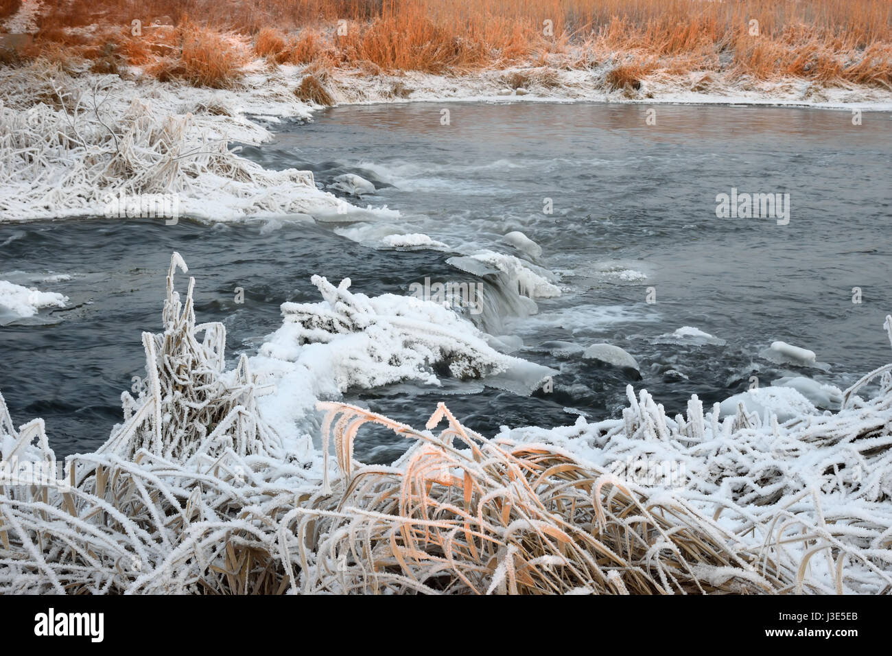 Trockenrasen mit Rauhreif Kristalle in einem Feld nahe dem Fluss bei Sonnenuntergang an einem Winterabend Stockfoto