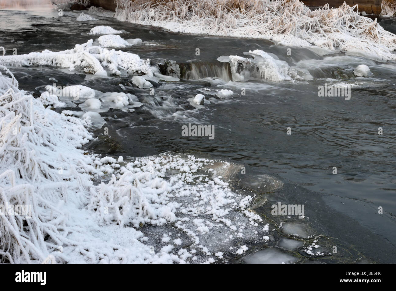 Schäumende Stromschnellen des Flusses, bedeckt mit Wucherungen von Eis und Büsche Trockenrasen in Rauhreif Kristalle am Ufer an einem Winterabend Stockfoto