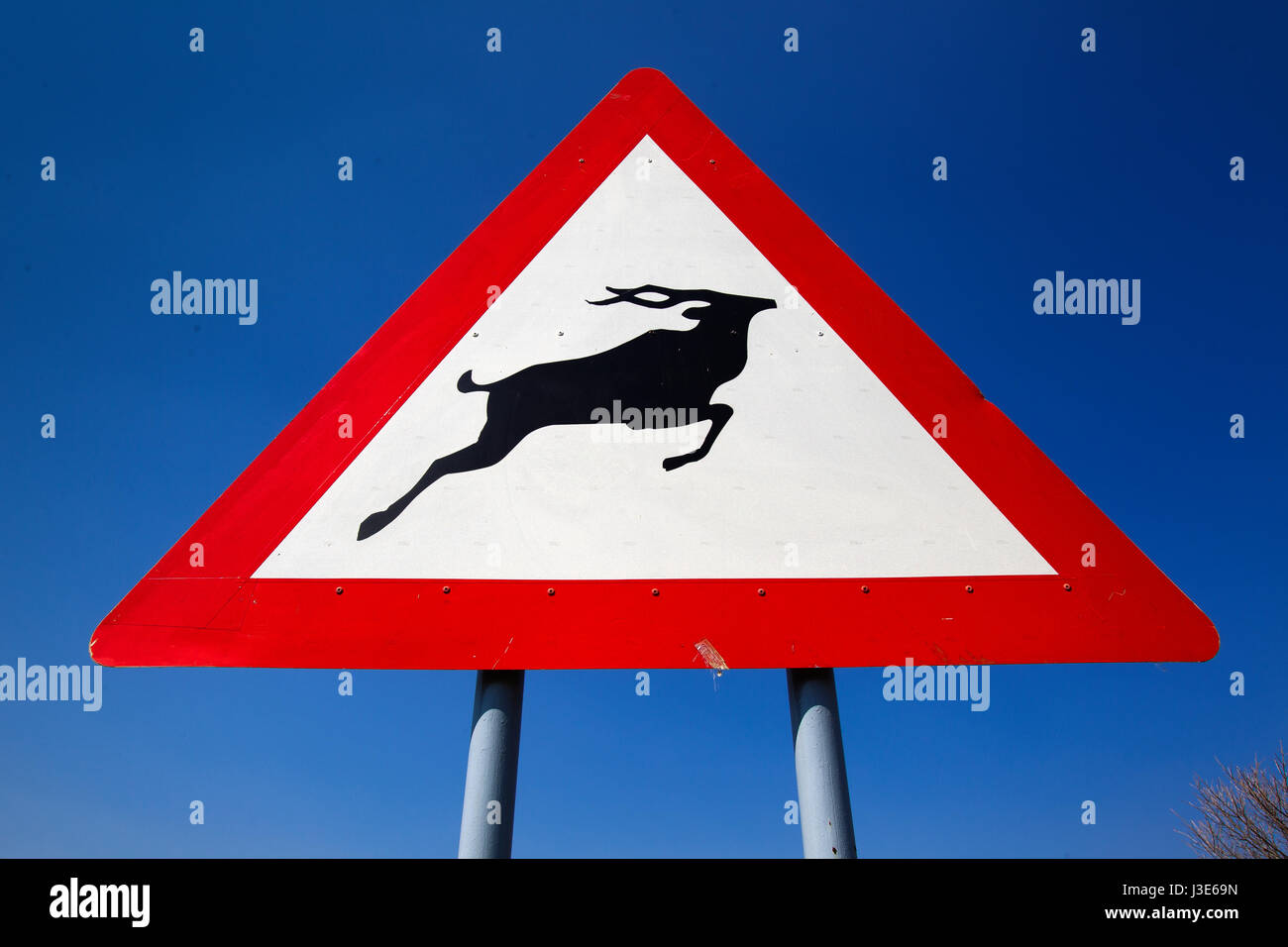 Animal Crossing Schild im Caprivi Strip, Namibia Stockfoto