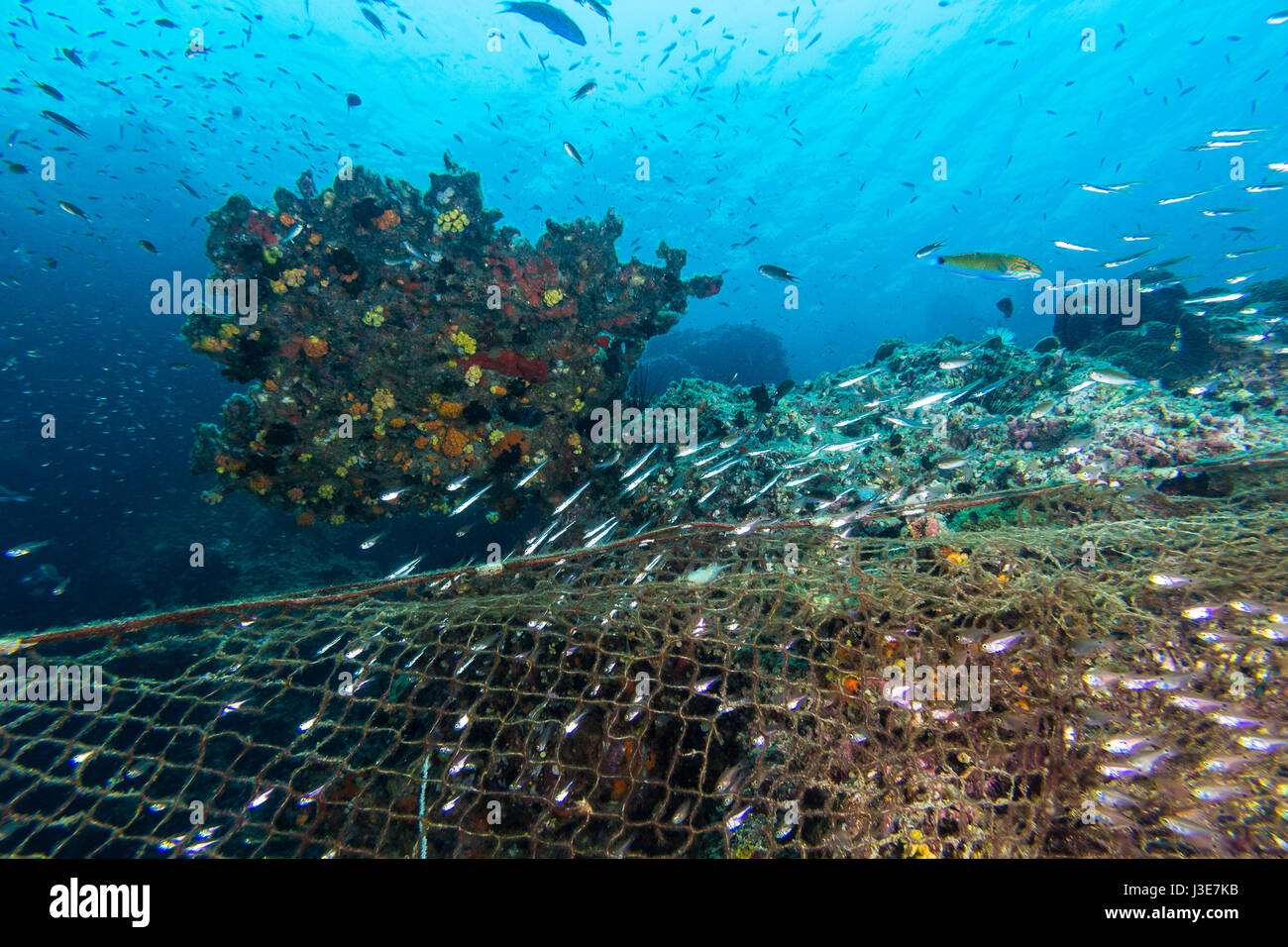 Illegale Fischerei im marine Nationalpark. Angeln net Abdeckung das Korallenriff in der thailändischen marine Nationalpark Stockfoto