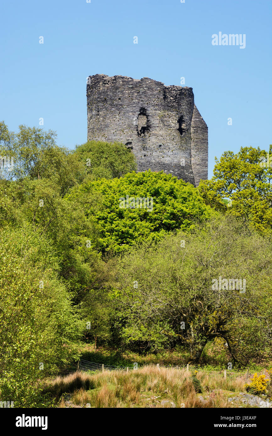 Dolbadarn Schloss am Fuße des Llanberis Pass und im Dorf von Llanberis in Snowdonia-Nationalpark in Gwynedd, Nordwales. Stockfoto