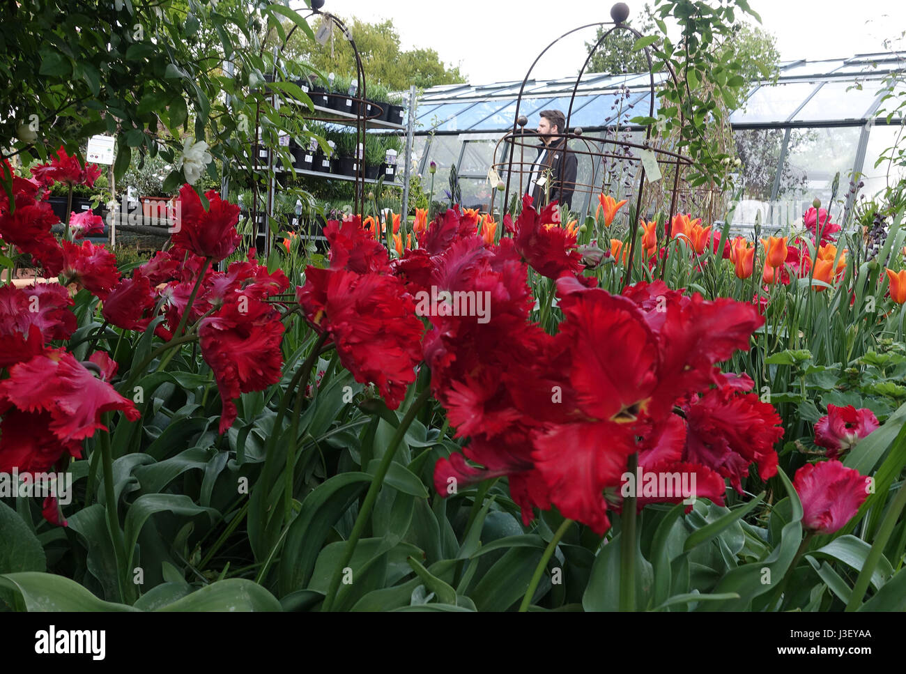 Petersham Nurseries Stockfoto