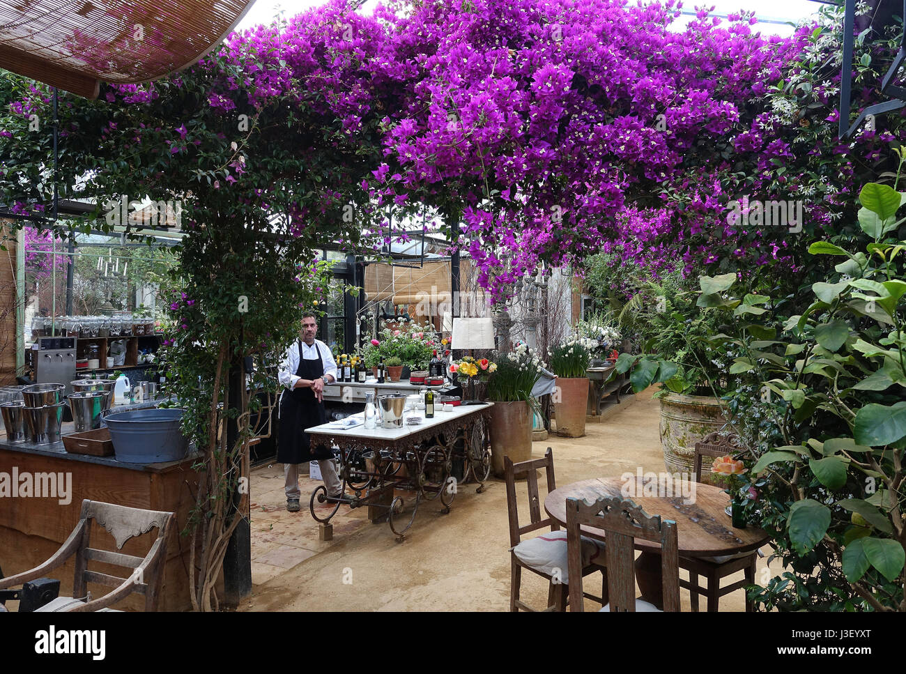 Petersham Nurseries Stockfoto