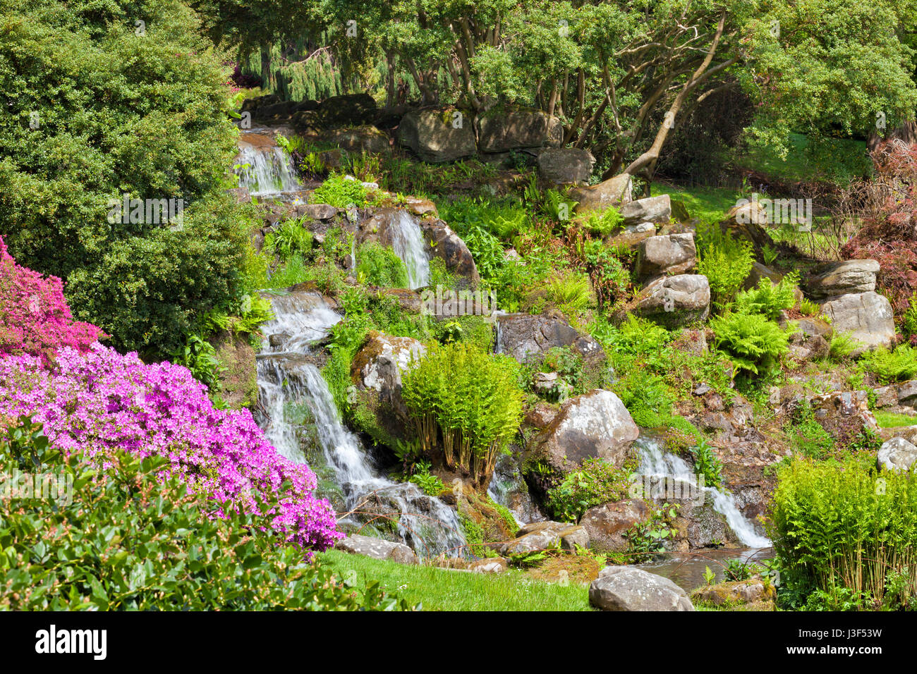 Wasserfall mit Wasser fließt durch große Felsen, Farne, im Frühjahr blühenden Garten Stockfoto