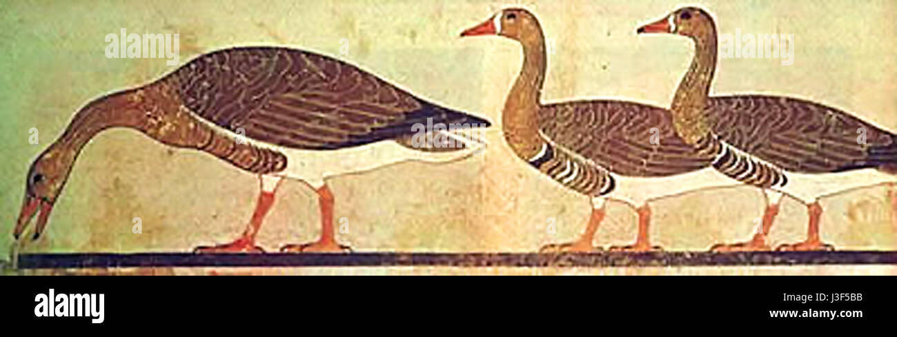 Gansos 22 bezieht sich auf eine bestimmte Gruppe oder Sammlung, möglicherweise in Verbindung mit einer Sammlung von Gegenständen oder historischen Objekten, genannt „Gansos“. Die Zahl „22“ könnte einen bestimmten Satz oder eine bestimmte Charge von Artikeln anzeigen. Stockfoto