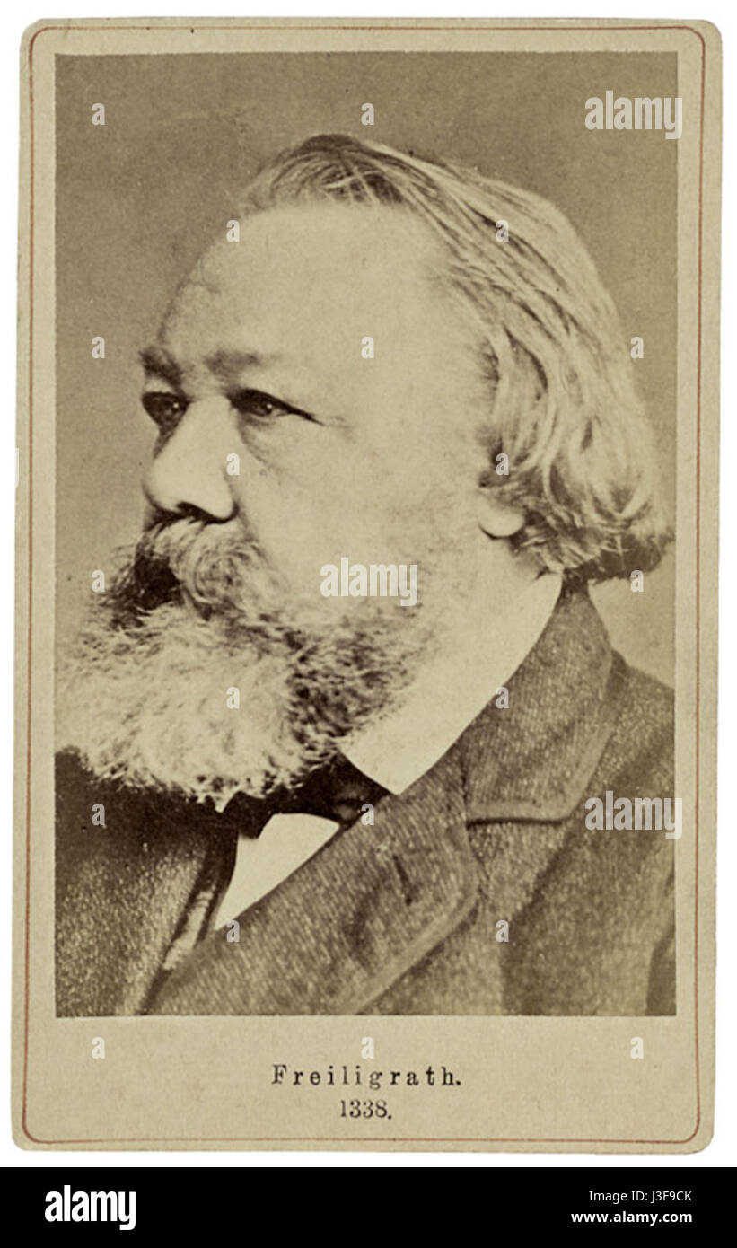 Diese Fotografie aus dem 19. Jahrhundert zeigt Ferdinand Freiligrath, einen prominenten deutschen Dichter und Publizisten, der für sein politisches Engagement und seine literarischen Beiträge bekannt ist. Stockfoto