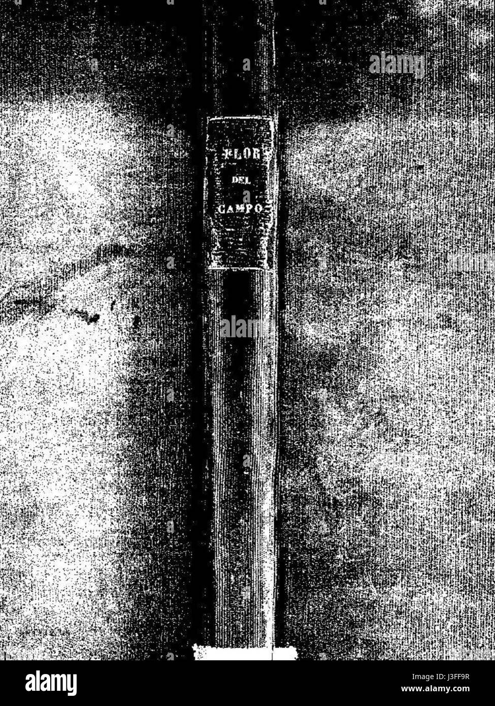 Flor de Campo ist ein Gemälde von Pedro N. Cruz aus dem Jahr 1886. Dieses Kunstwerk ist bekannt für seine lebendige Darstellung der Natur und spiegelt die Schönheit der ländlichen Landschaften wider und fängt das Wesen der Feldblumen und die natürliche Umgebung der Zeit ein. Stockfoto