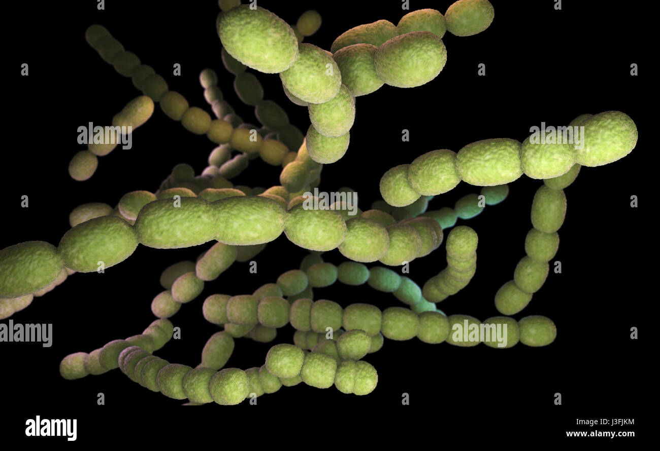 Streptococcus Pneumoniae. 3D illustration Stockfoto