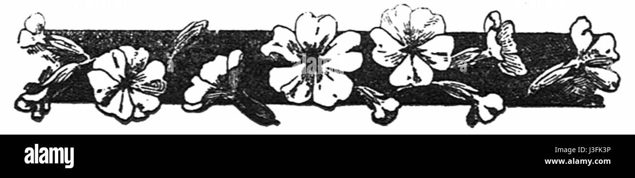 „For Remembrance“, herausgegeben von Agnes Repplier, ist eine Sammlung von Essays und Reflexionen über Erinnerung und den Verlauf der Zeit. Die Arbeit beschäftigt sich mit Themen der Erinnerung, Geschichte und persönlichen Reflexion und bietet Einblicke in die menschliche Situation aus verschiedenen Perspektiven. Stockfoto