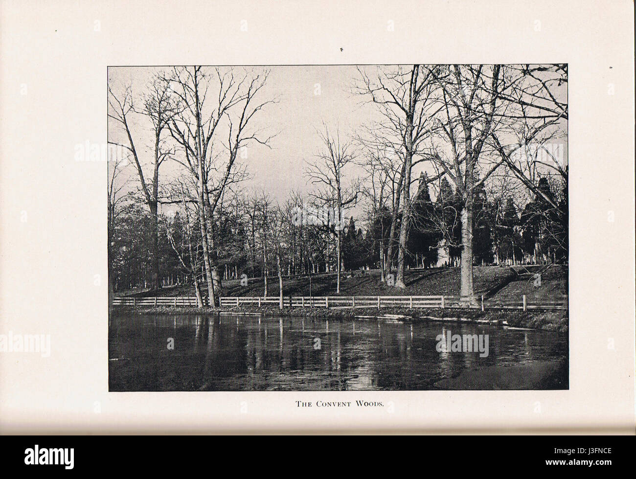 „For Remembrance“ ist ein von Repplier herausgearbeitetes Werk, das Themen wie Erinnerung, Geschichte und persönliche Reflexion erforscht. Der Text befasst sich mit der Bedeutung der Erinnerung an wichtige Ereignisse und den Auswirkungen der Erinnerung auf Identität und Kultur. Stockfoto