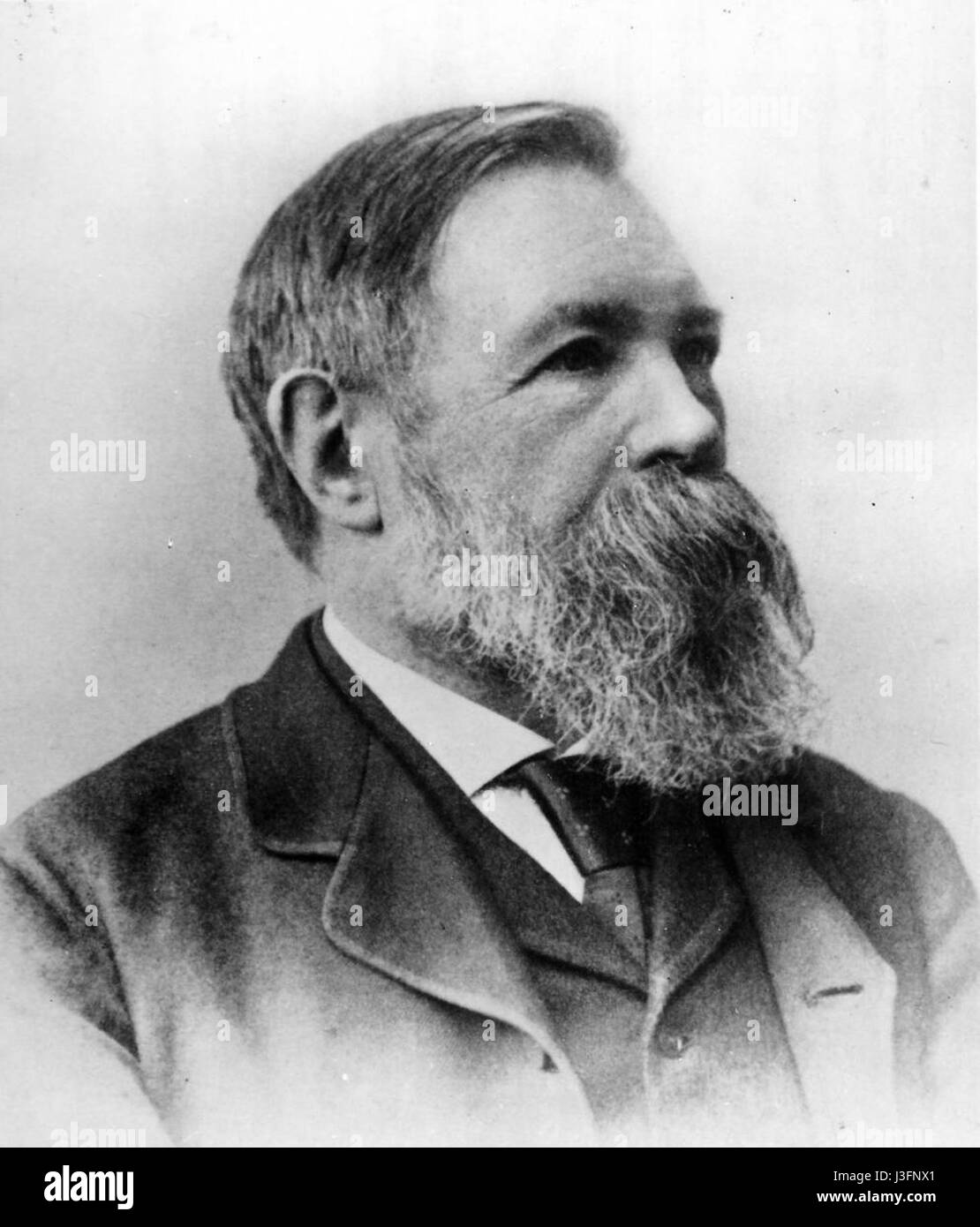 Friedrich Engels (1891) Stockfoto