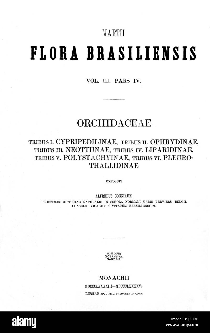 Die Titelseite von Band 3, Seite 42, von Flora brasiliensis, einem einflussreichen botanischen Werk, das die verschiedenen Pflanzenarten Brasiliens dokumentiert. Die Arbeit ist eine wichtige Ressource für botanische Studien und bietet detaillierte Beschreibungen und Klassifizierungen der brasilianischen Flora. Stockfoto