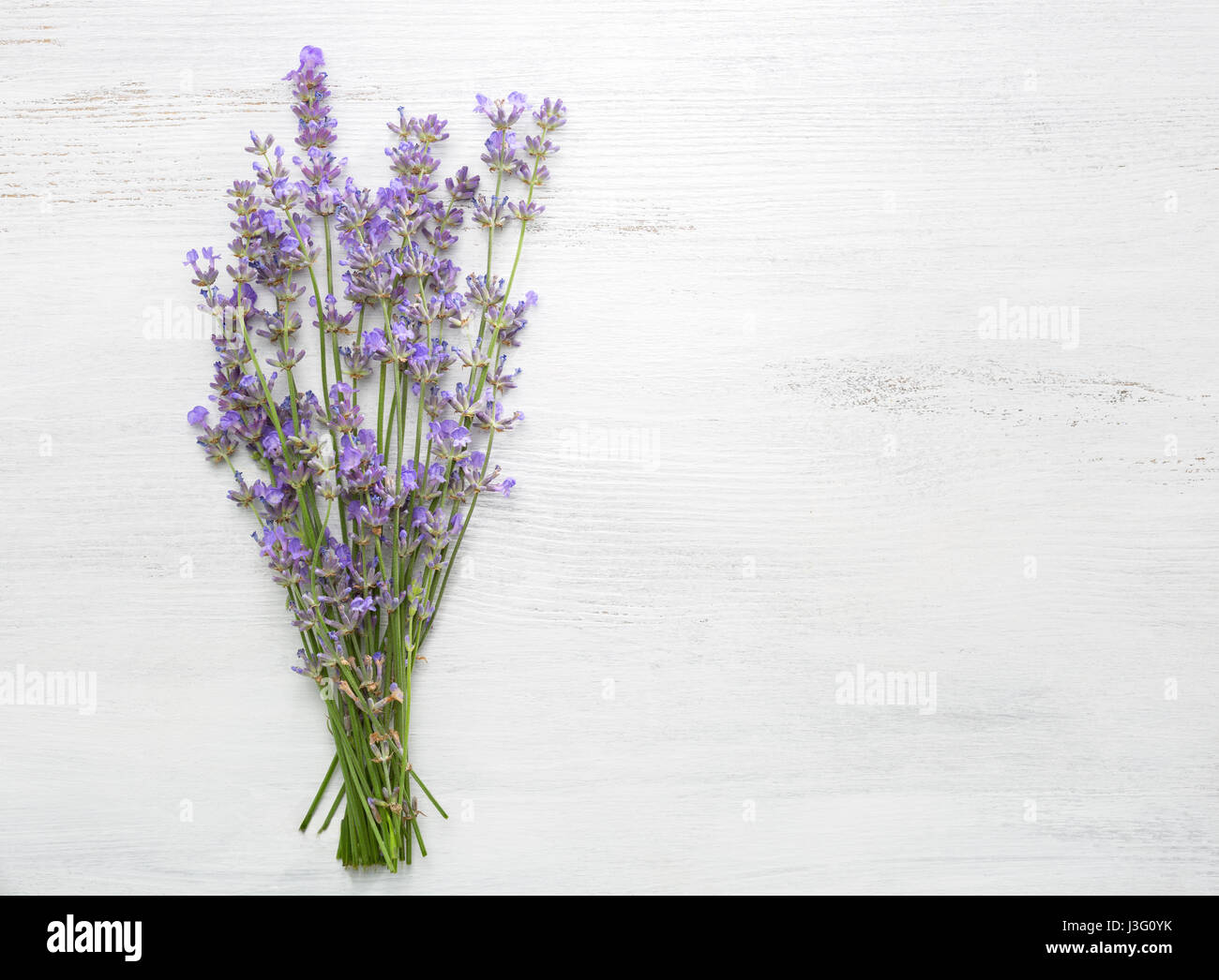 Bündel von Lavendel auf alten Holzbrett weiß lackiert. Stockfoto