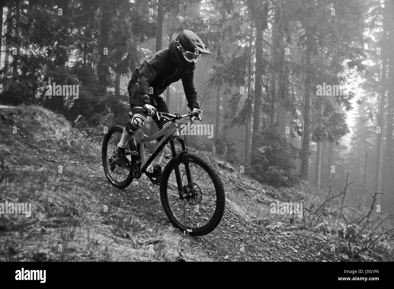 jeep wrangler mountainbike Rubicon with Mountain Bike E-Faltrad bei Kaufland zum TRQ Variante:Grundausstattung mit entnehmbarem Echtholz Facheinsatz - 12 Fächer Ages 4+ Cycling is