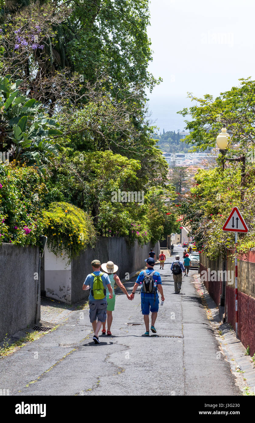 Die steilen Straßen in der Altstadt von Funchal, Madeira Stockfoto