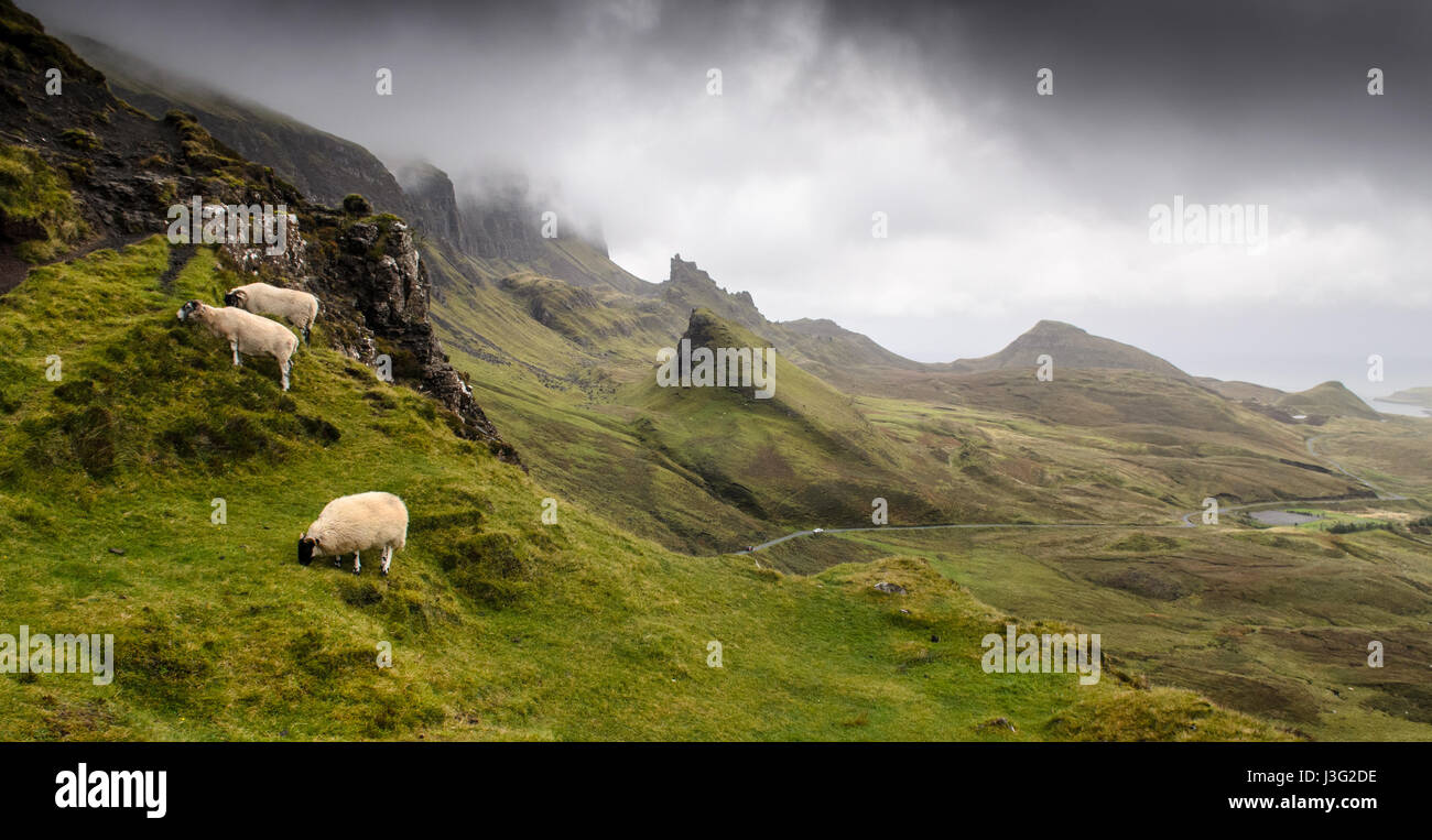 Eine Familie von Schafe grasen auf dem Berg in der märchenhaften Landschaft der Quiraing, geprägt durch Erdrutsche in schottischen Halbinsel Trotternish " Stockfoto