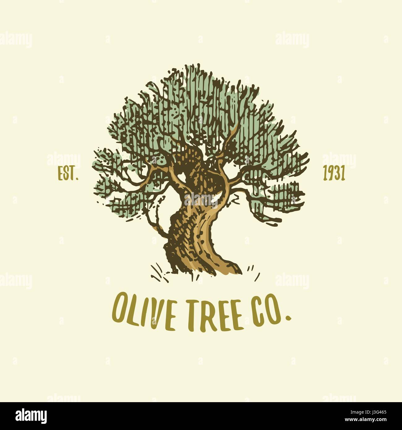 Olivenbaum-Logo graviert oder von Hand gezeichnet, isolierte alt aussehende  Emblem fr kologie, camping oder Essen branding Stock-Vektorgrafik - Alamy