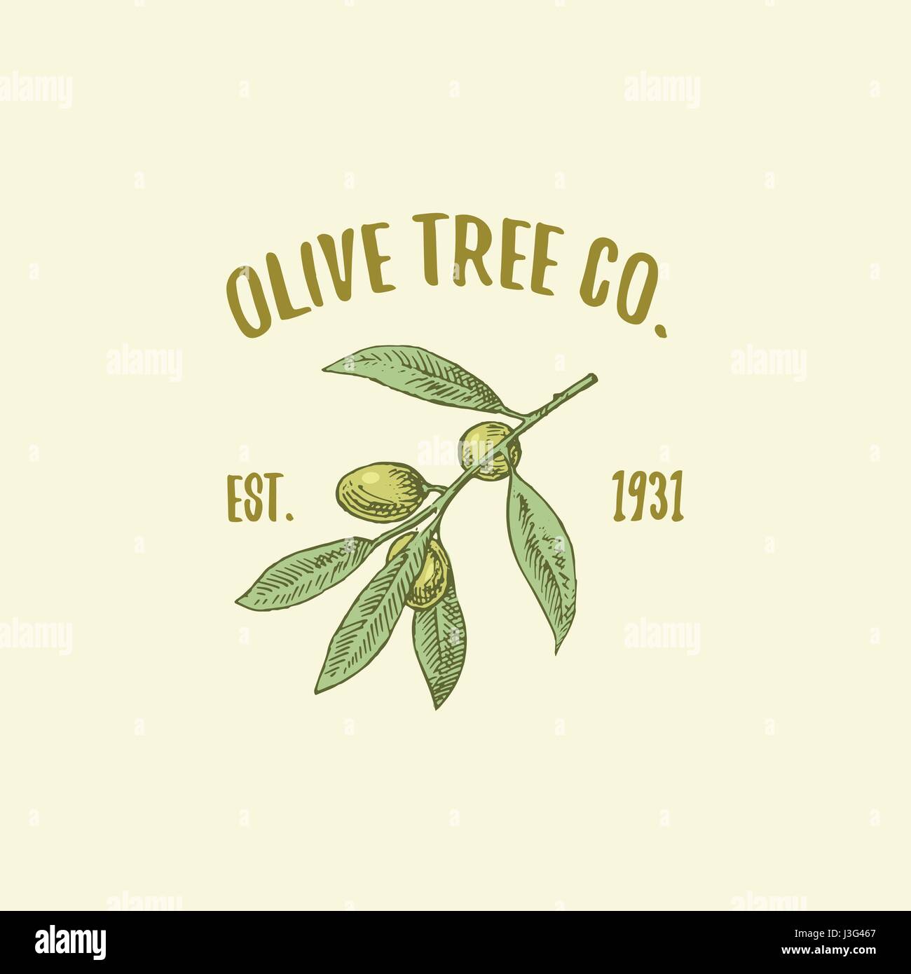 Olive tree logo engraved hand -Fotos und -Bildmaterial in hoher Auflsung   Alamy