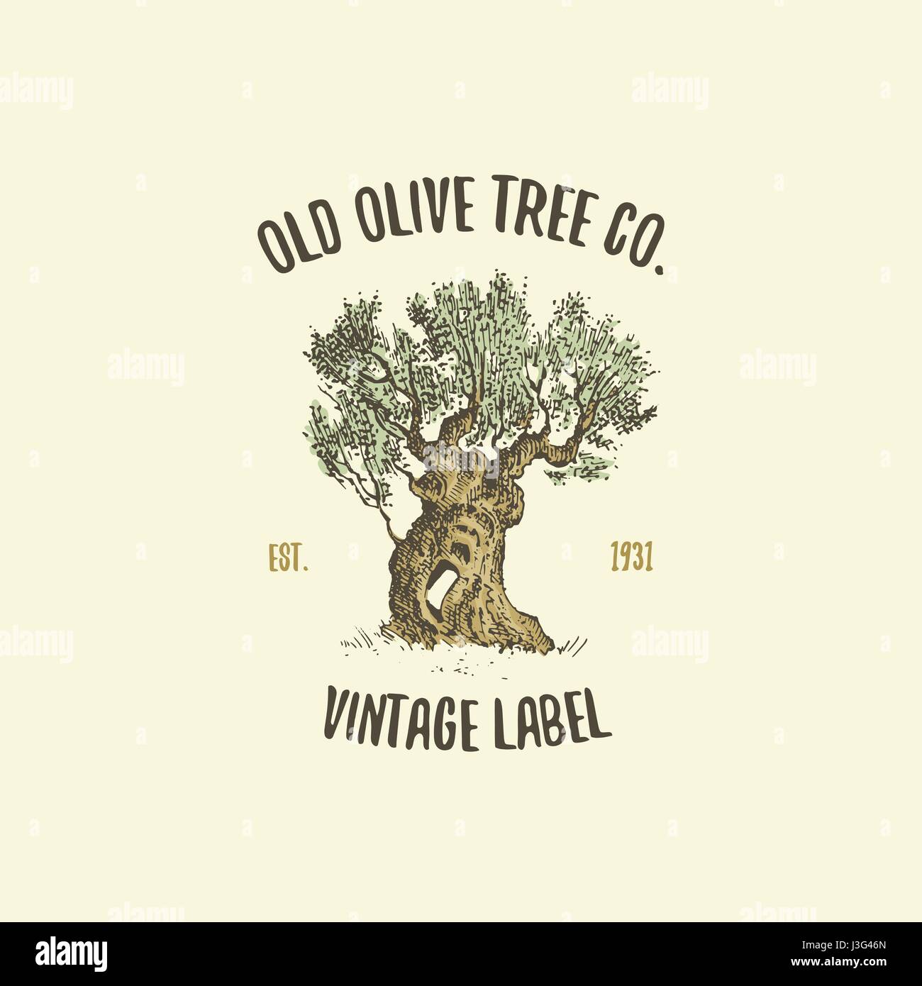Olivenbaum-Logo graviert oder von Hand gezeichnet, isolierte alt aussehende  Emblem fr kologie, camping oder Essen branding Stock-Vektorgrafik - Alamy