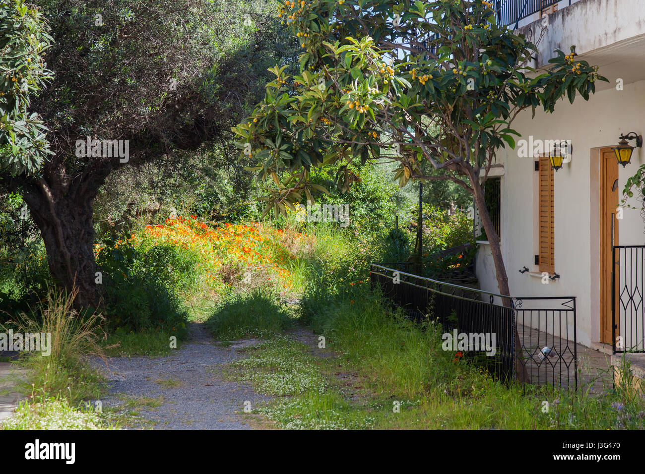 Griechischer garten Fotos und Bildmaterial in hoher Auflösung Alamy