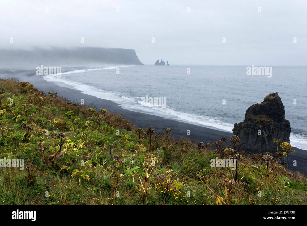 Küste, Vik Island Stockfoto