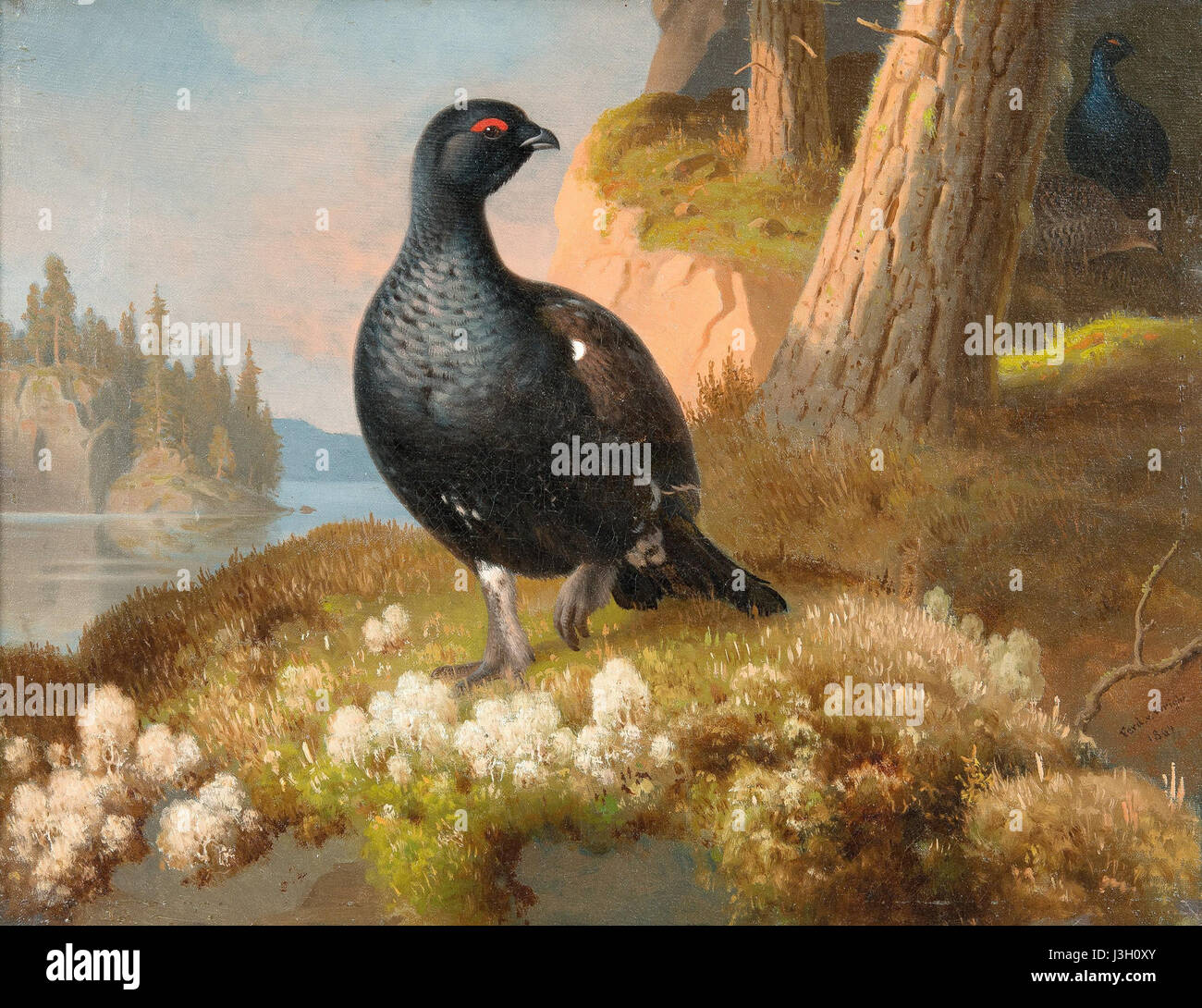 Ferdinand von Wright Orrar Stockfoto