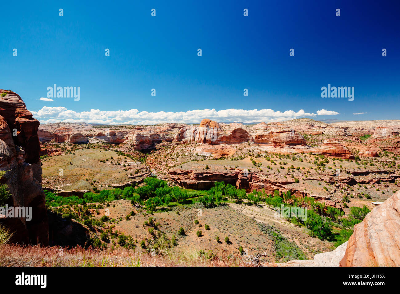 Grand Staircase-Escalante National Monument, 7386 Hwy 12, Escalante, UT 84726, USA, in der Nähe von Kiva Koffeehouse. Stockfoto