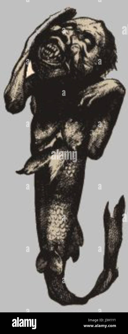 Die Feejee-Meerjungfrau ist ein berühmter Hoax, ein angeblich halb menschliches, halb fisches Wesen, das im 19. Jahrhundert ausgestellt wurde. Später stellte sich heraus, dass es sich um ein erfundenes Exemplar handelt, das durch das Verbinden eines Affenkopfes mit einem Fischkörper entstand. Stockfoto