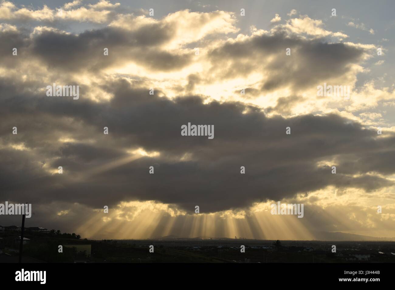 Gott Strahlen, Engel-Licht, sonnendurchflutete Spalten sind die schönsten Sehenswürdigkeiten bei morgendlichen Spaziergängen. Stockfoto