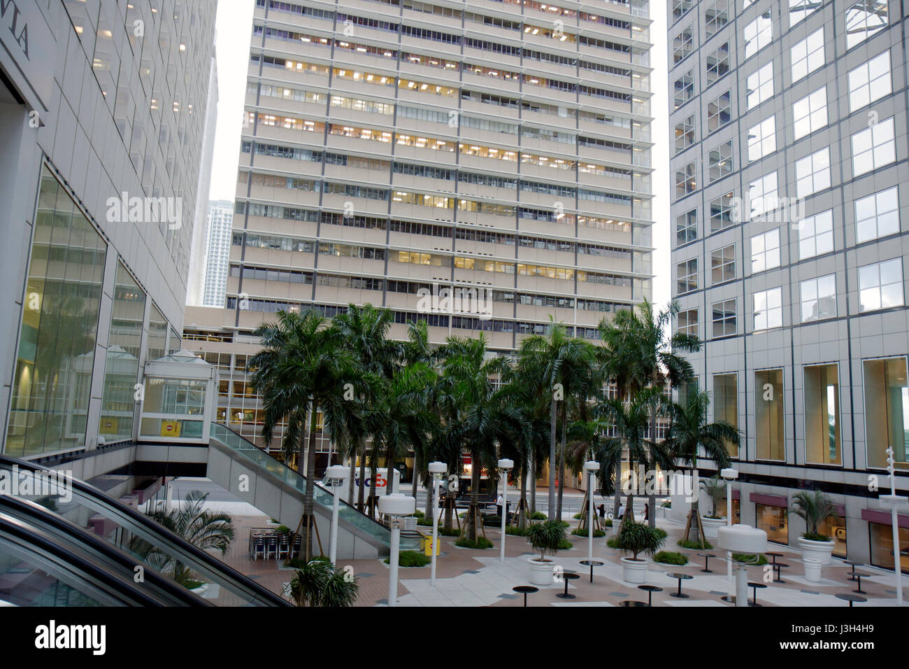 Miami Florida, Southeast Financial Center, Southeast, Center, plaza, Bürogebäude, Glas, nach Geschäftsschluss, Palmen, Baum, Tische, Innenhof, Architektur FL0809 Stockfoto