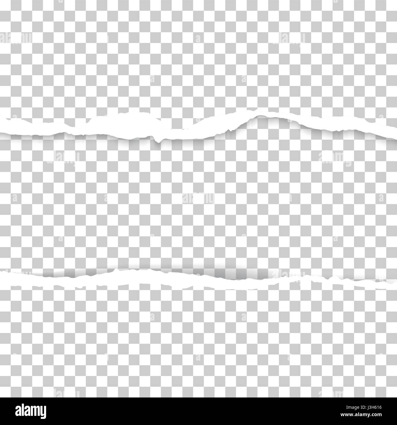 Papier Riss Riss Papier Stock-Vektorgrafiken kaufen - Alamy
