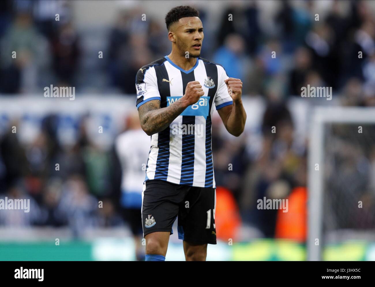 JAMAAL LASCELLES feiert WI NEWCASTLE UNITED V SWANSEA CIT ST JAMES PARK NEWCASTLE ENGLAND 16. April 2016 Stockfoto