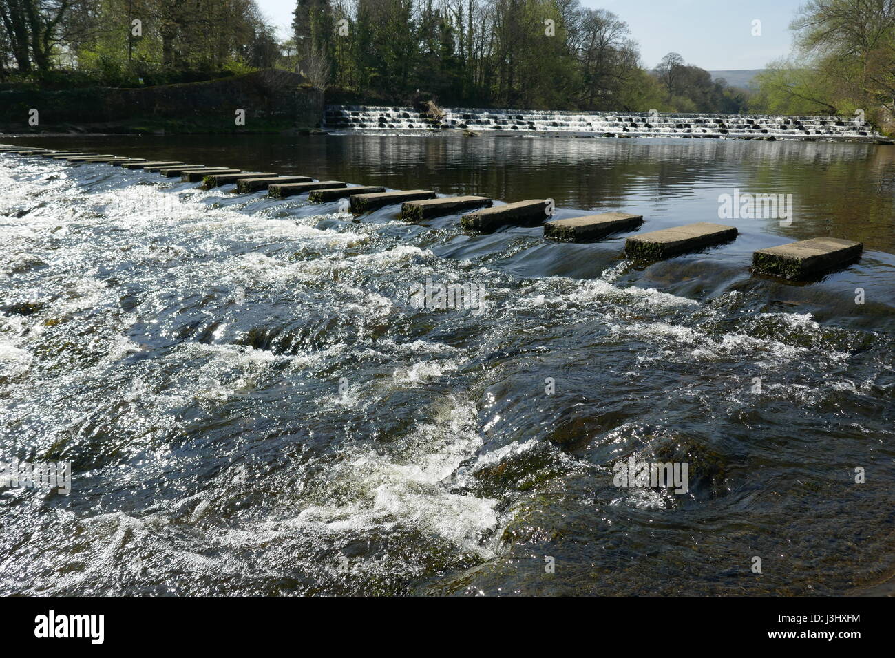Trittsteine über Flusses Wharfe Burley in Wharfedale Stockfoto
