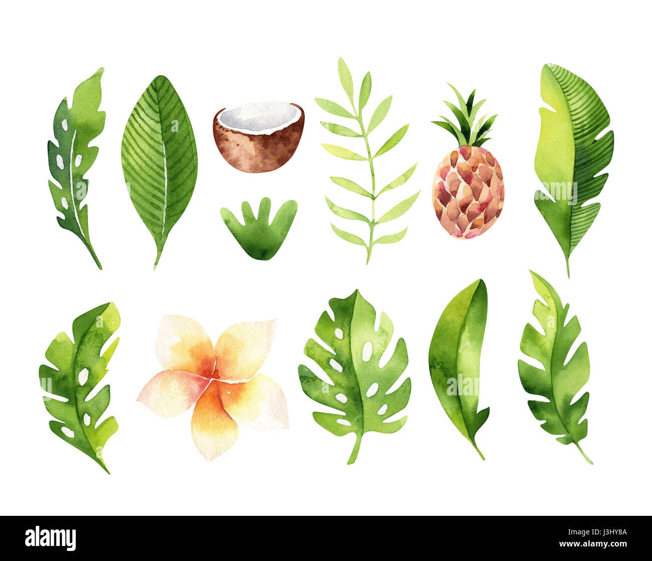 Hand gezeichnet Aquarell tropischen Pflanzen gesetzt. Exotische 