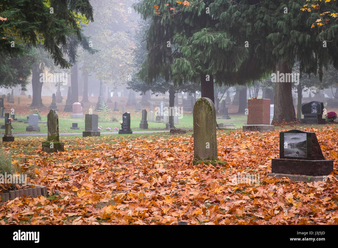 Alten Pioneer Cemetery und Grabsteine im Nebel Stockfoto