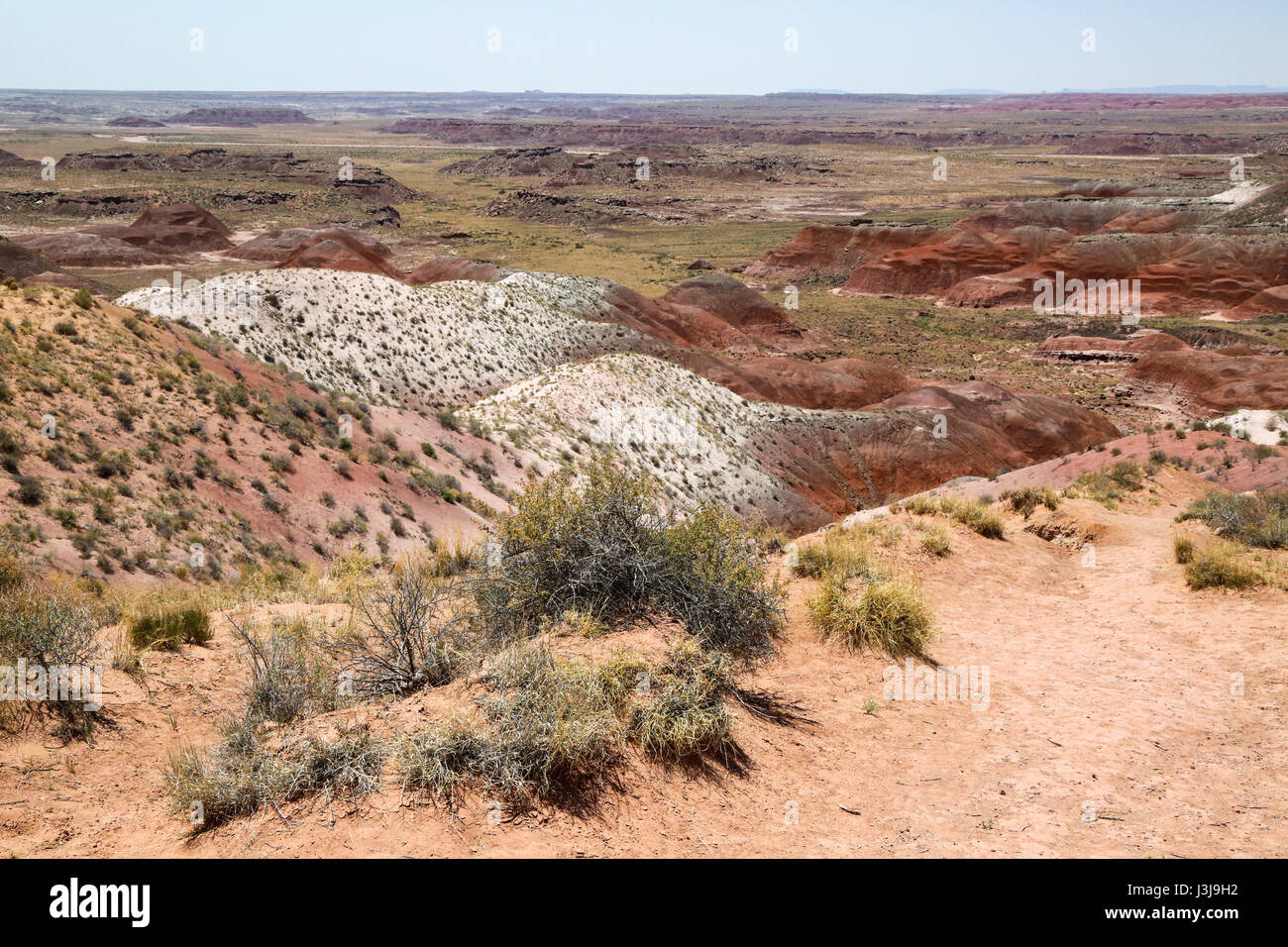 Der gemalte Wüste von Arizona Stockfoto