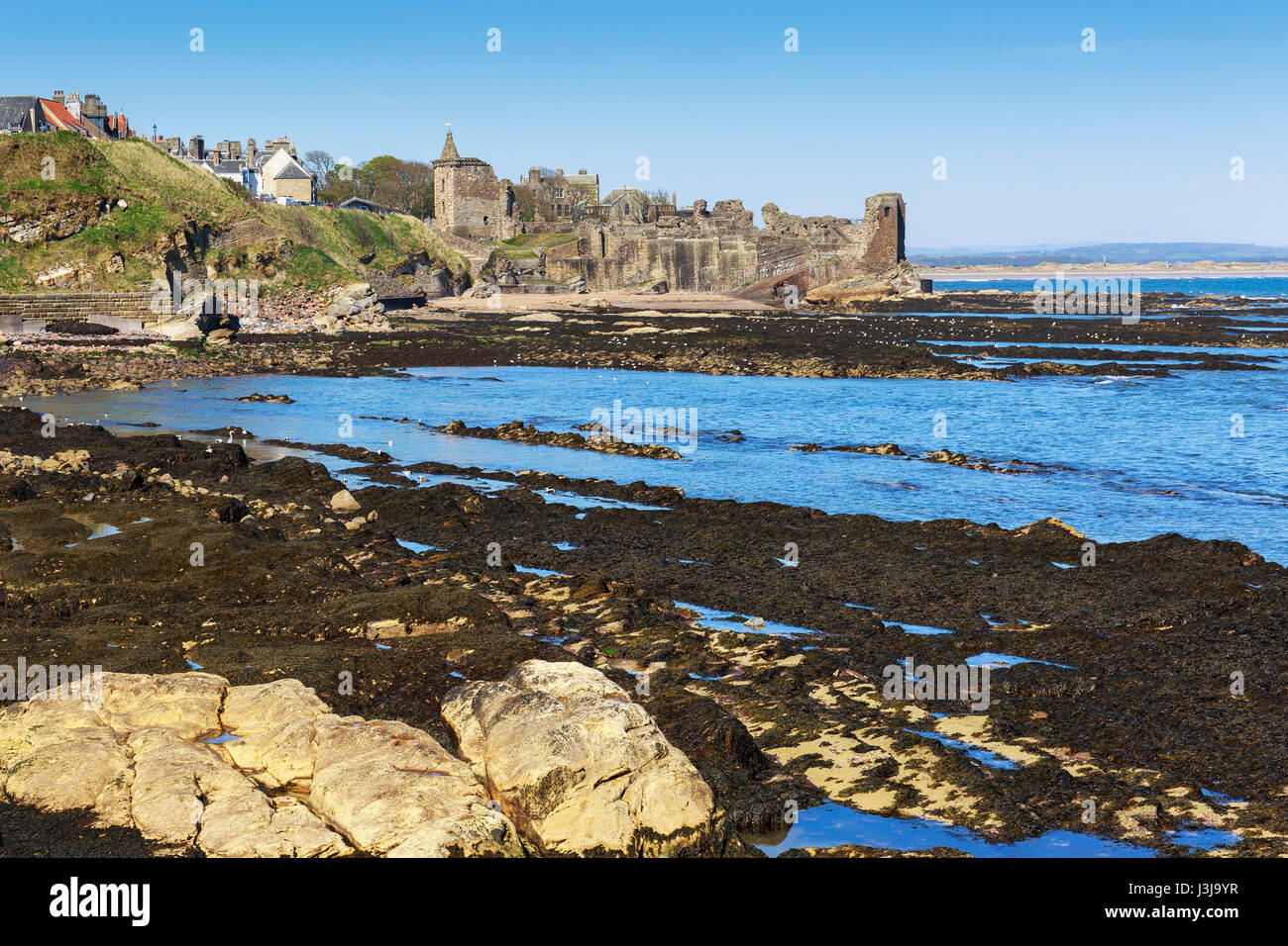 Burg von St Andrews, St Andrews, Fife, Schottland Stockfoto