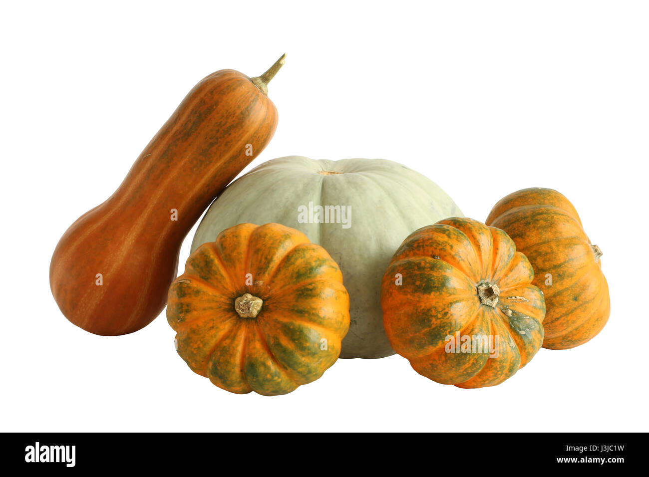 Muscat orange, leicht grau und kleinen gelb-grün-Kürbisse auf weißem Hintergrund Stockfoto