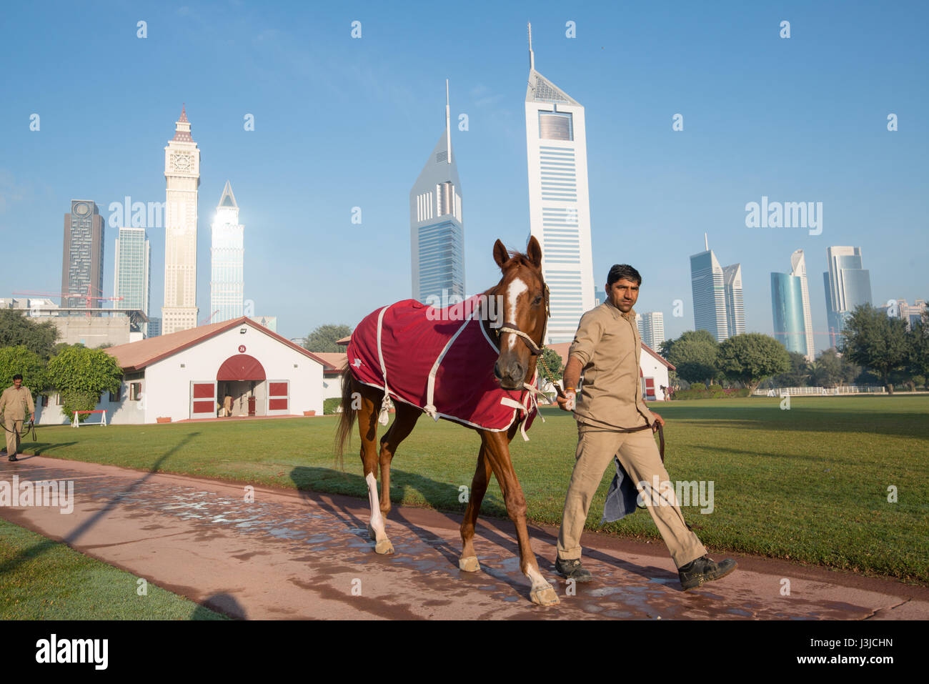 Vereinigte Arabische Emirate - stehen im Hintergrund der Mann führenden Pferd in Dubai Wolkenkratzer Stockfoto