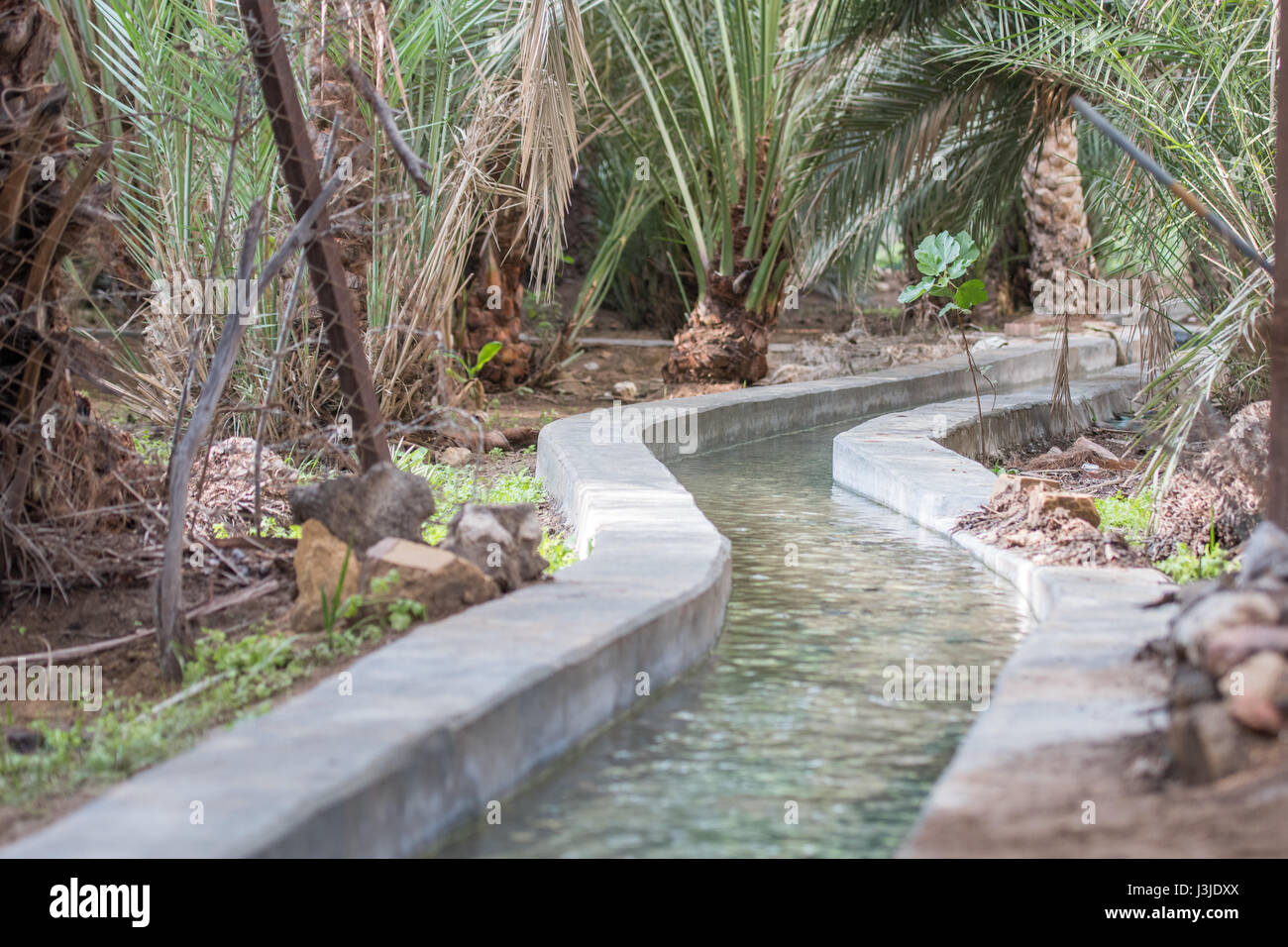 Vereinigte Arabische Emirate - Jahrhunderte alt, das Wasser teilen Bewässerungssystem in Abu Dhabi Al Ain Oasis gehört die größte Oase in den Vereinigten Arabischen Emiraten. Stockfoto
