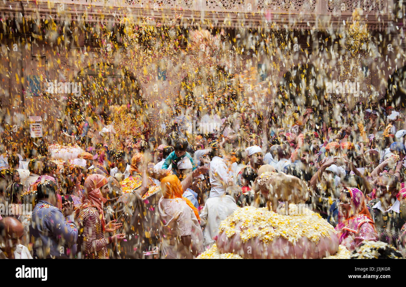 Holi Festiival in Brij, Barasnana, Utttar Pradesh, Indien, Asien Stockfoto