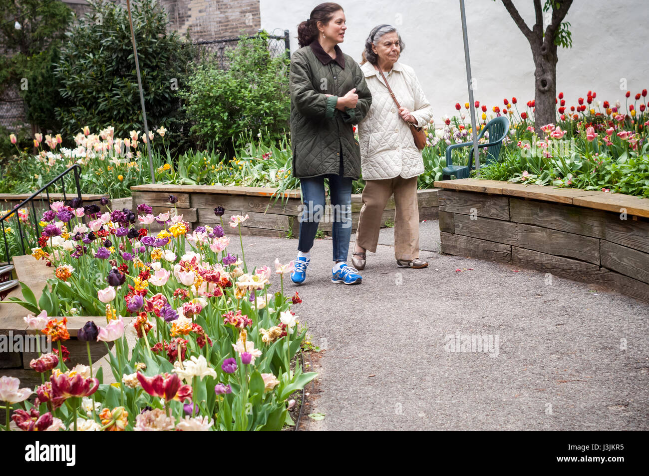 Besucher auf der Westseite Community Garden in New York genießen den über 12.000 Tulpen blühen während ihrer Tulpenfestival, gesehen auf Sonntag, 30. April 2017. Der Garten feiert gerade seinen 43. Jahr. (© Richard B. Levine) Stockfoto