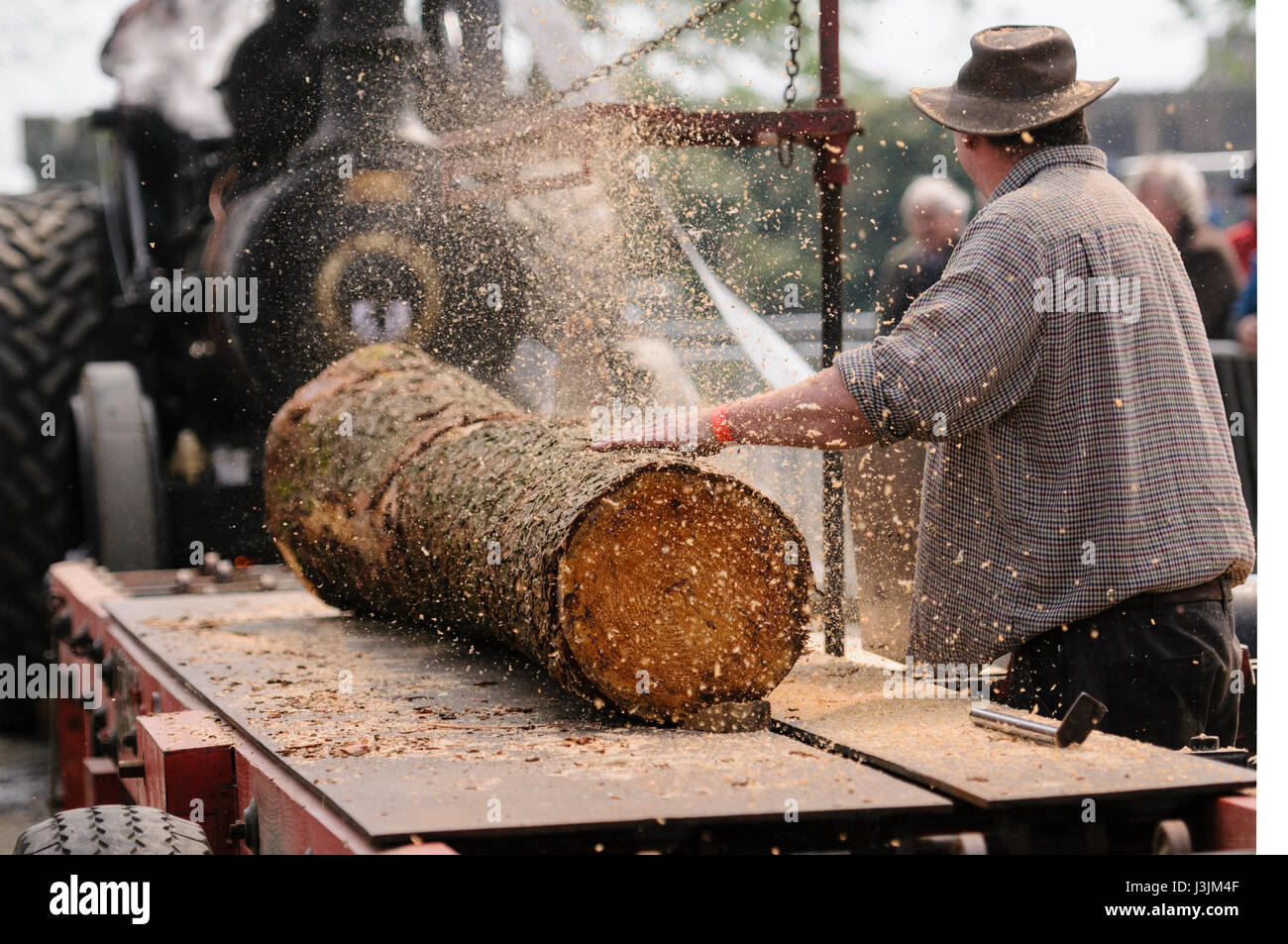 Eine Zugmaschine fährt eine alte altmodische tragbaren Sägewerk-Tabelle, wie es Holz aus einem Baumstamm schneidet. Stockfoto