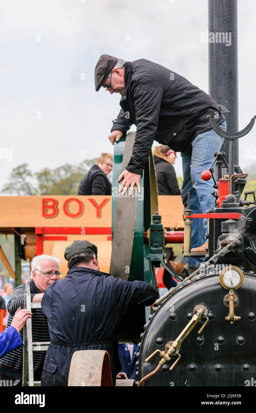 Zwei Männer Zurücksetzen einen Gürtel auf das Antriebsrad des eine Zugmaschine, einen altmodischen Dreschmaschine zu fahren. Stockfoto