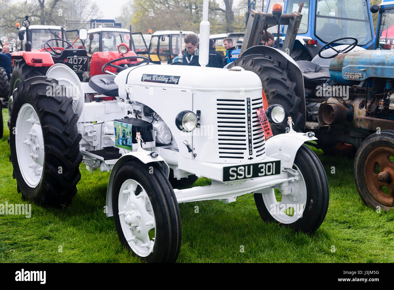 Eine weiße Massey Ferguson "Fergie" Traktor zu mieten bei Hochzeiten. Stockfoto