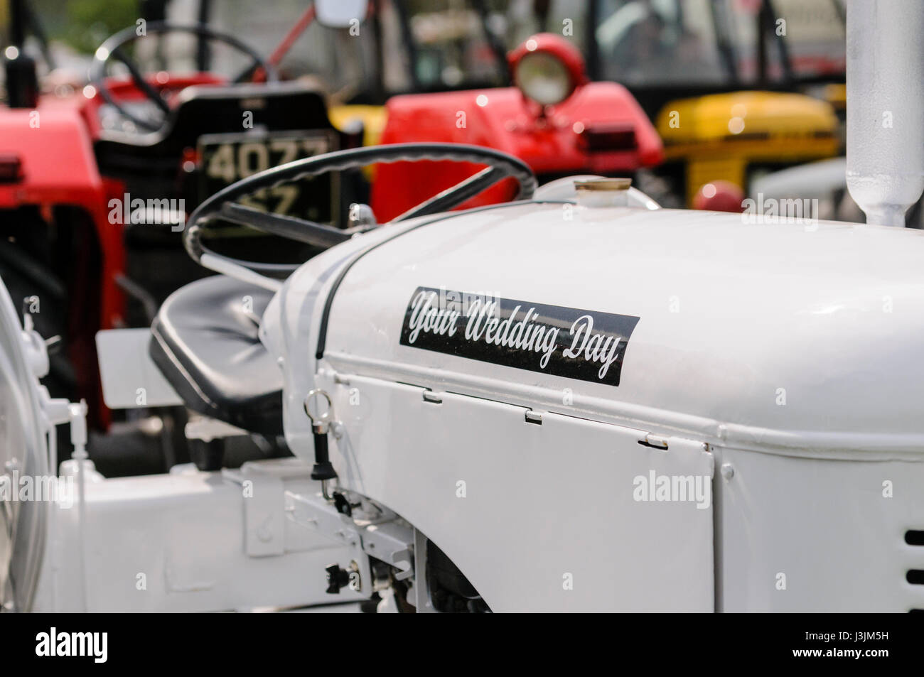 Eine weiße Massey Ferguson "Fergie" Traktor zu mieten bei Hochzeiten. Stockfoto